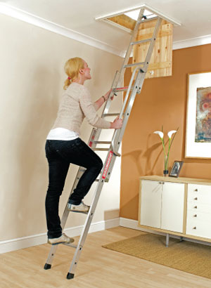 home_basic_pckg1 Basic Loft Ladder