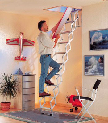 concertina concertina ladder